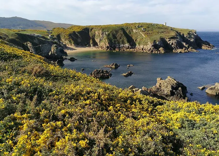La Entretenida * Doninos